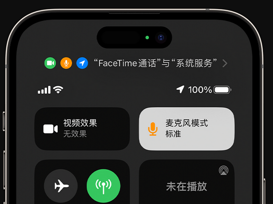 豆河镇苹果授权维修网点分享iPhone在通话时让你的声音更清晰 