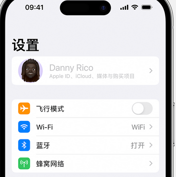 豆河镇appleID维修服务iPhone设置中Apple ID显示为灰色无法使用 