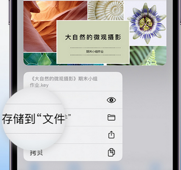 豆河镇apple维修中心分享iPhone文件应用中存储和找到下载文件