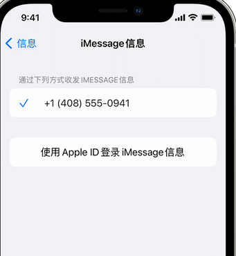 豆河镇apple维修iPhone上无法正常发送iMessage信息 