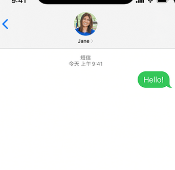 豆河镇apple维修iPhone上无法正常发送iMessage信息