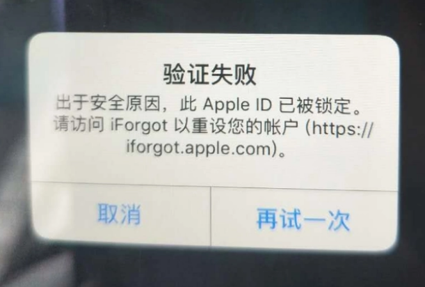 豆河镇iPhone维修分享iPhone上正常登录或使用AppleID怎么办 