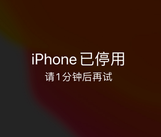 豆河镇苹果手机维修分享:iPhone 显示“不可用”或“已停用”怎么办？还能保留数据吗？ 