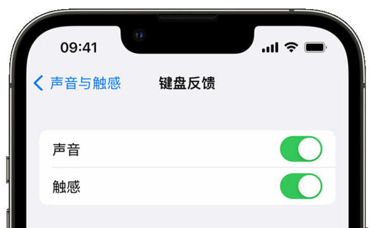 豆河镇苹果手机维修分享iPhone 14触感键盘使用方法 