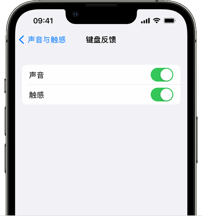 豆河镇苹果14维修店分享如何在 iPhone 14 机型中使用触感键盘 