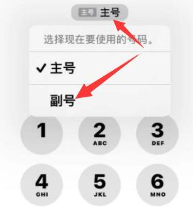 豆河镇苹果14维修店分享iPhone 14 Pro Max使用副卡打电话的方法 