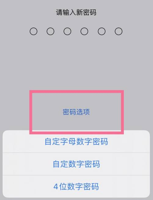 豆河镇苹果14维修分享iPhone 14plus设置密码的方法 