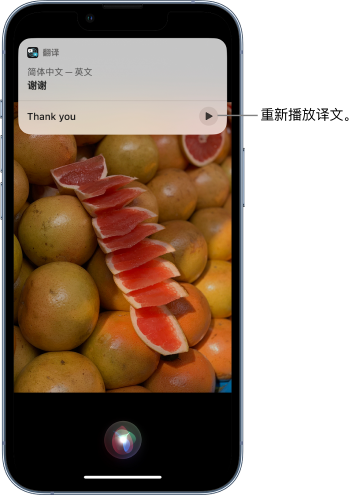 豆河镇苹果14维修分享 iPhone 14 机型中使用 Siri：了解 Siri 能帮你做什么 