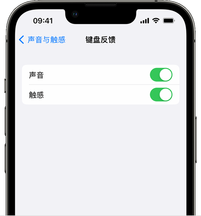 豆河镇苹果14维修分享iPhone 14 系列机型如何开启键盘声音或触感反馈 