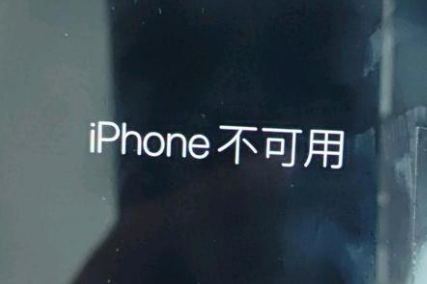 豆河镇苹果服务网点分享锁屏界面显示“iPhone 不可用”如何解决 