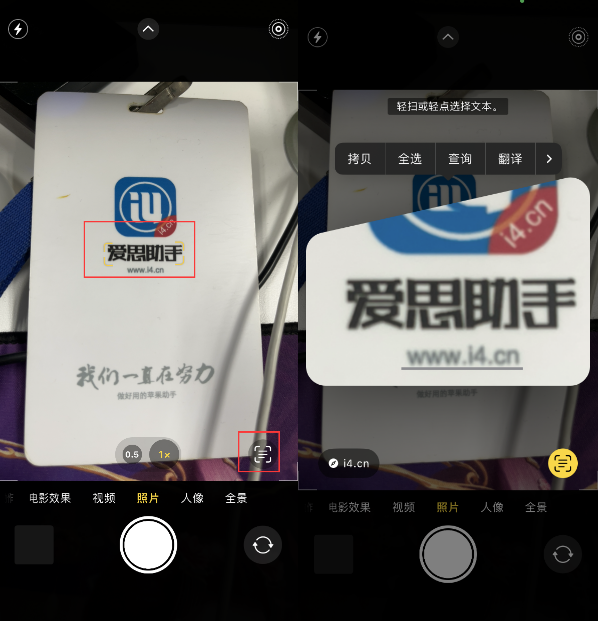 豆河镇苹果手机维修分享升级iOS 16后如何通过相机翻译文本 