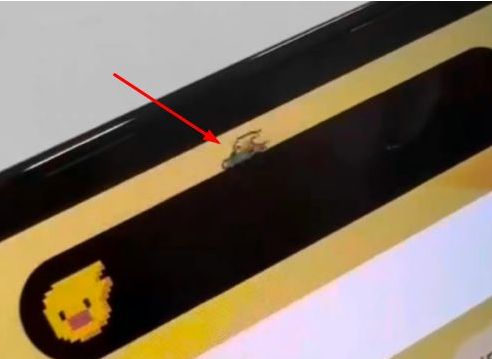 豆河镇苹果14维修分享iPhone 14 Pro Max灵动岛怎么养宠物 