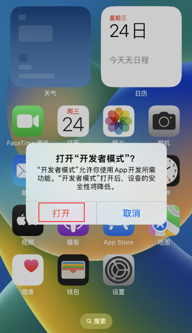 豆河镇苹果手机维修分享如何打开开发者模式 