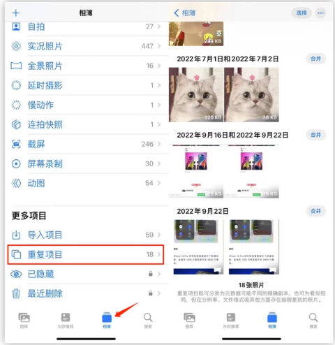豆河镇苹果手机维修分享iOS 16 中相册重复项目功能使用方法 