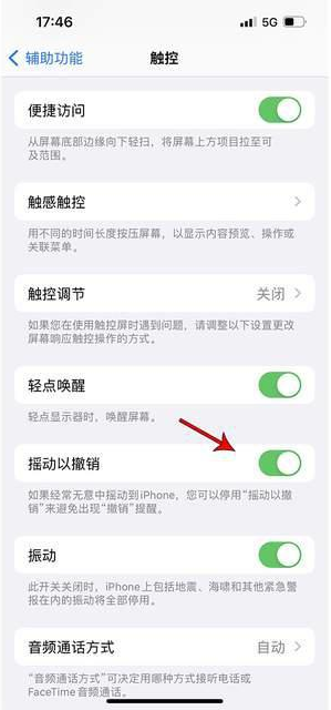 豆河镇苹果手机维修分享iPhone手机如何设置摇一摇删除文字 