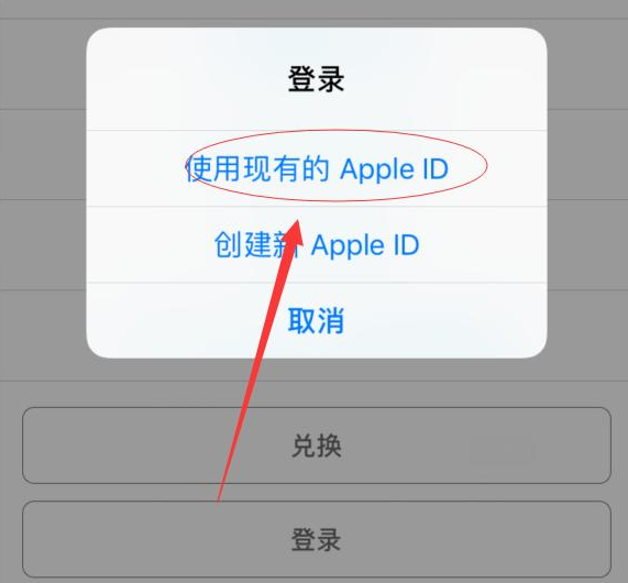 豆河镇苹果手机维修分享两台iPhone设备可以同时登录一个Apple ID吗 