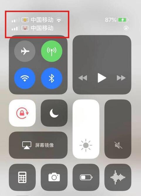 豆河镇苹果手机维修分享为 iPhone 12 双卡设置标签 